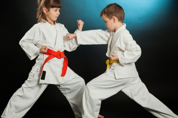 Hány nagy karate ág van?